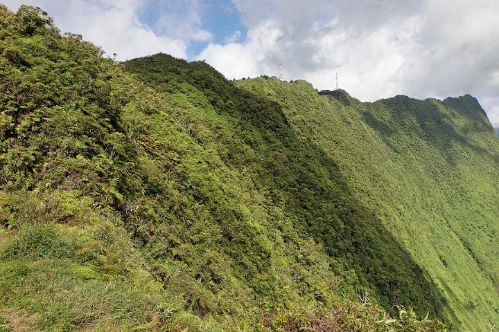 Tahiti 25.jpg